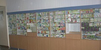 Pharmacy № 36