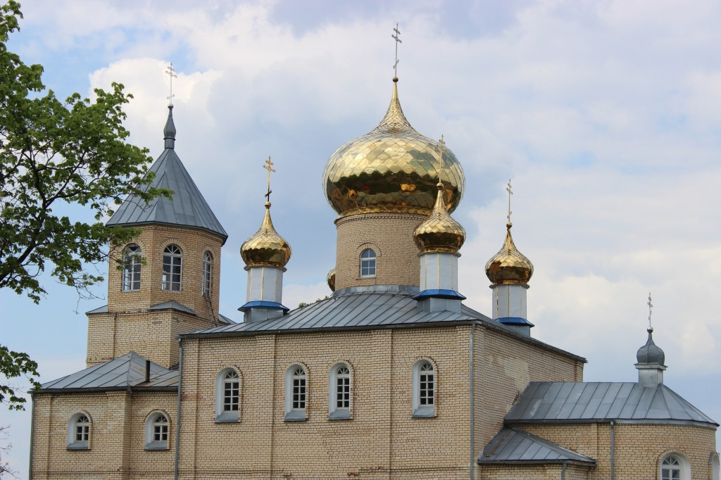 У020Ф113.jpg