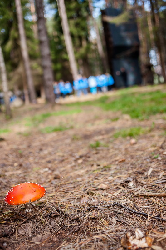 _DSC2782.jpg _DSC2782.jpg