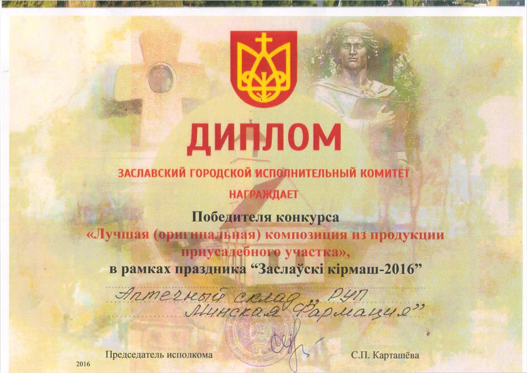 диплом2.jpg